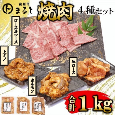 【飛騨牛】焼肉4種セットA-3　ロース・肩ロースと味付けホルモンなど　合計1kg【配送不可地域：離島】