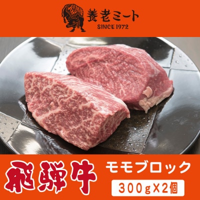 飛騨牛 モモブロック 300g×2個【配送不可地域：離島】