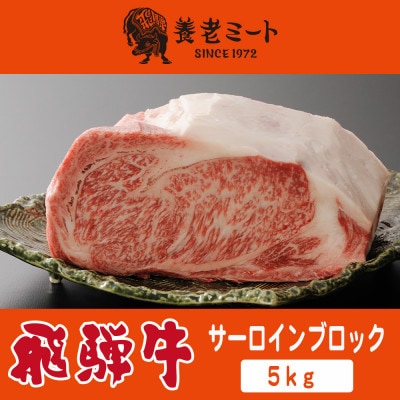 飛騨牛 サーロインブロック 5kg【配送不可地域：離島】