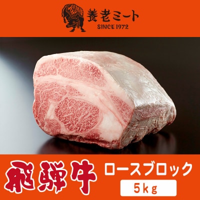飛騨牛 ロースブロック 5kg【配送不可地域：離島】