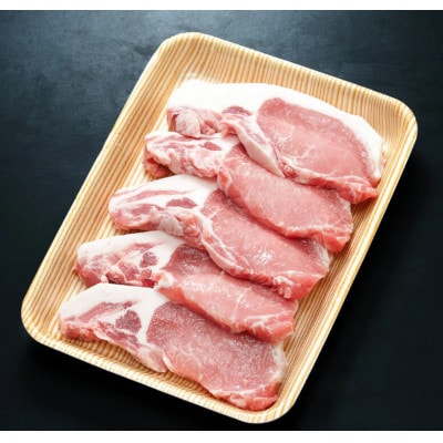 養老山麓豚 ロース とんかつ・テキカツ用 500g(100g×5枚)【配送不可地域：離島】