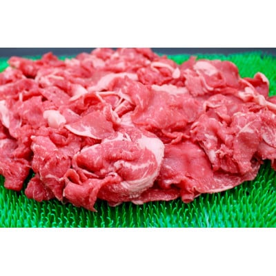 飛騨牛切り落とし計3kg【配送不可地域：離島】