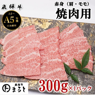 【飛騨牛】赤身 焼肉用 計300g入り【配送不可地域：離島】