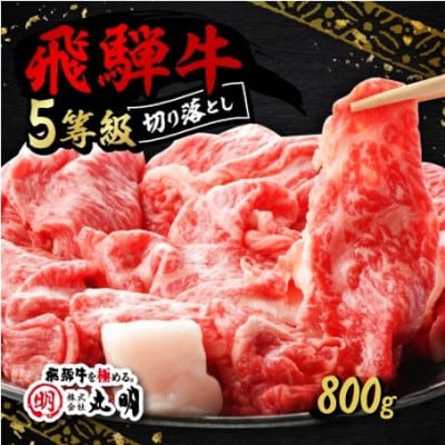 飛騨牛5等級　切り落とし用途いろいろ　800g【配送不可地域：離島】