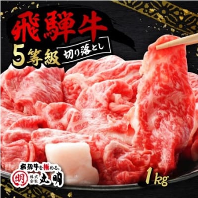 飛騨牛5等級　切り落とし用途いろいろ　1kg【配送不可地域：離島】