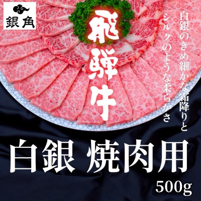 【飛騨牛】白銀焼肉用500g【配送不可地域：離島】