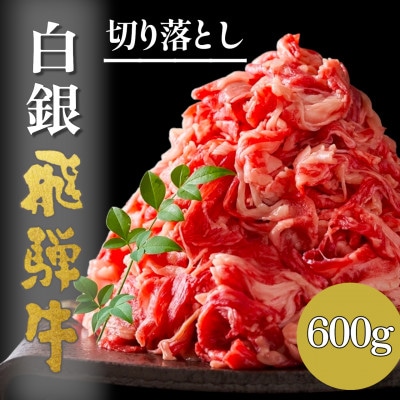 A5等級【白銀】飛騨牛切り落し600g【配送不可地域：離島】