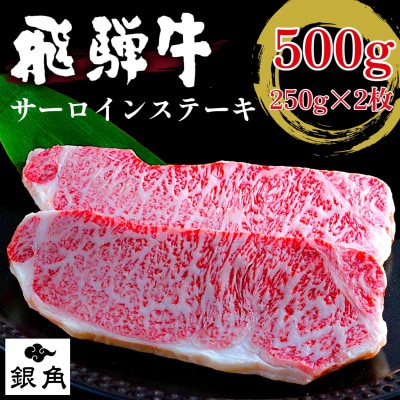 厚切り【飛騨牛】サーロインステーキ500g(250g×2枚)【配送不可地域：離島】