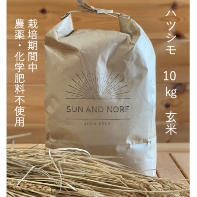 【令和7年産】初霜(源種)　玄米10kg　(栽培期間中農薬・化学肥料不使用)