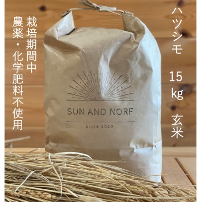 【令和7年産】初霜(源種)　玄米15kg　(栽培期間中農薬・化学肥料不使用)