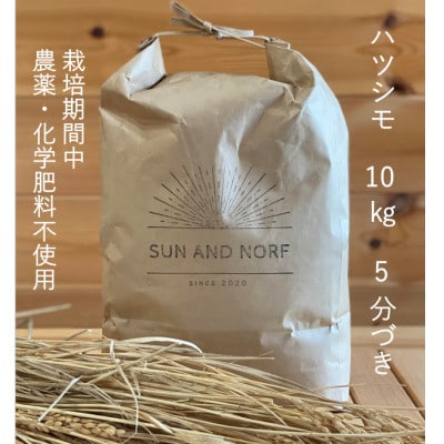 【令和7年産】初霜(源種)5分づき10kg　(栽培期間中農薬・化学肥料不使用)