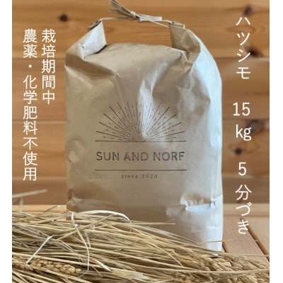 【令和7年産】初霜(源種)5分づき15kg　(栽培期間中農薬・化学肥料不使用)