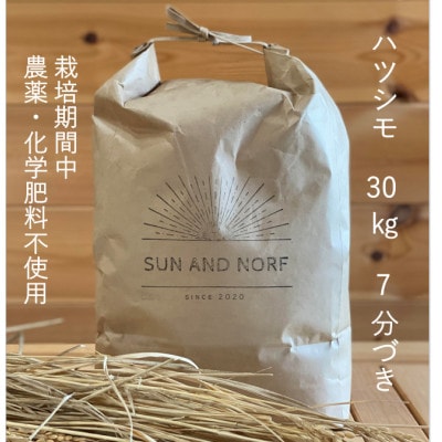 【令和7年産】初霜(源種)　7分づき30kg　(栽培期間中農薬・化学肥料不使用)