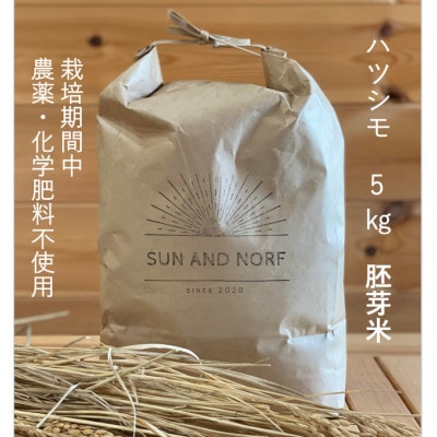 【令和7年産】初霜(源種)胚芽米5kg　(栽培期間中農薬・化学肥料不使用)