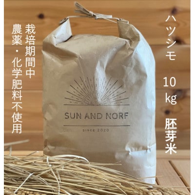 【令和7年産】初霜(源種)胚芽米10kg　(栽培期間中農薬・化学肥料不使用)