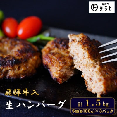 飛騨牛入特製生ハンバーグ　100g×15個【配送不可地域：離島】