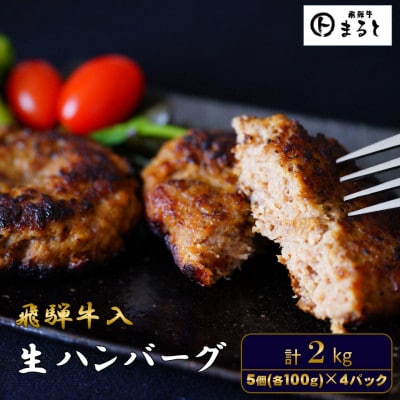 飛騨牛入特製生ハンバーグ　100g×20個【配送不可地域：離島】