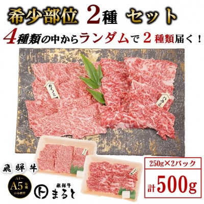 【飛騨牛】お勧め希少部位2種セット　250g×2【配送不可地域：離島】