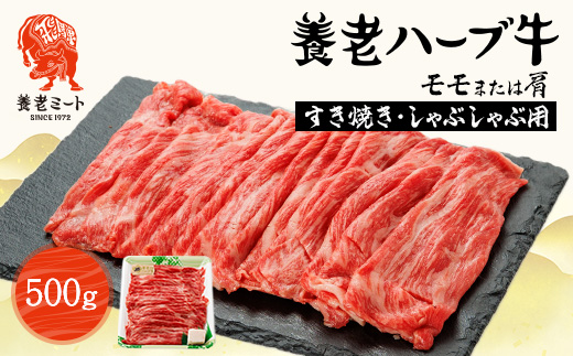 養老ハーブ牛　モモまたは肩　すき焼き・しゃぶしゃぶ両用　500g【配送不可地域：離島】