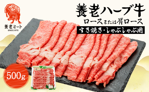 養老ハーブ牛　ロースまたは肩ロース　すき焼き・しゃぶしゃぶ両用　500g【配送不可地域：離島】