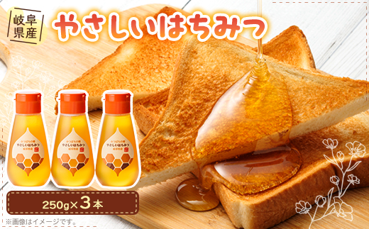 岐阜県産 やさしいはちみつ250g×3本