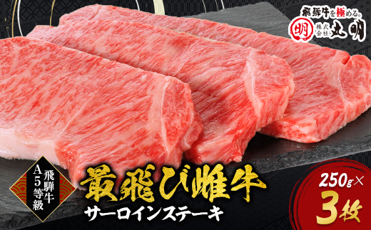 【最飛び雌牛】飛騨牛A5等級サーロインステーキ　250g×3枚【配送不可地域：離島】
