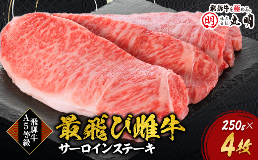 【最飛び雌牛】飛騨牛A5等級サーロインステーキ　250g×4枚【配送不可地域：離島】
