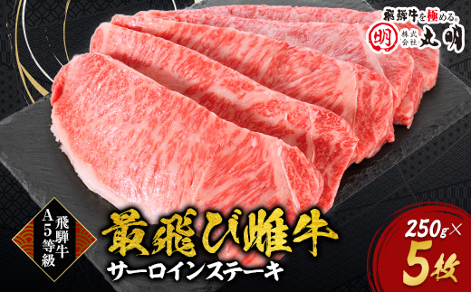 【最飛び雌牛】飛騨牛A5等級サーロインステーキ　250g×5枚【配送不可地域：離島】
