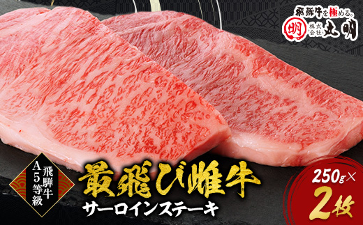 【最飛び雌牛】飛騨牛A5等級サーロインステーキ　250g×2枚【配送不可地域：離島】