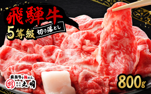 飛騨牛5等級　切り落とし用途いろいろ　800g【配送不可地域：離島】