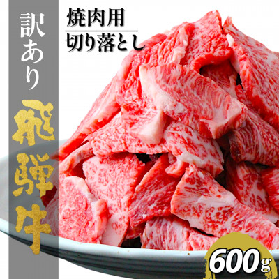 【訳あり】飛騨牛切り落し焼肉用600g【配送不可地域：離島】