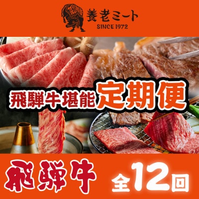 【毎月定期便】月替わりで色々な飛騨牛を楽しめる全12回【配送不可地域：離島】