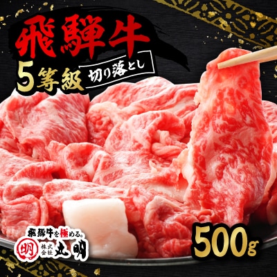 飛騨牛5等級　切り落とし用途いろいろ　500g【配送不可地域：離島・北海道・沖縄県】