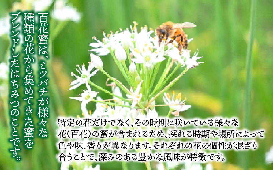 【国産】純粋蜂蜜1200g