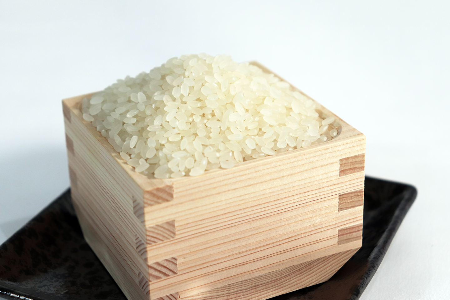 ≪令和7年産≫【6か月定期便】岐阜ハツシモ5kg