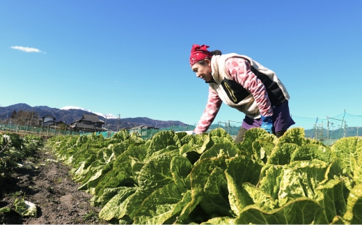 身体に優しいおやつ！黒酢大豆2本セット