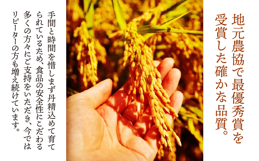 《６か月定期便》《令和7年産》《新米》T rice Store 岐阜県産 コシヒカリ 30kg(5kg×6回）