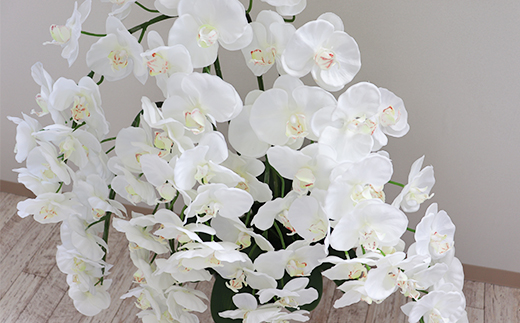 【造花】胡蝶蘭 7本立