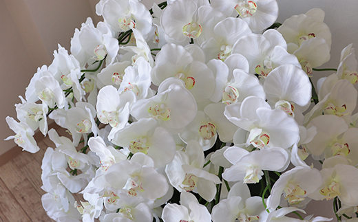 【造花】胡蝶蘭 15本立