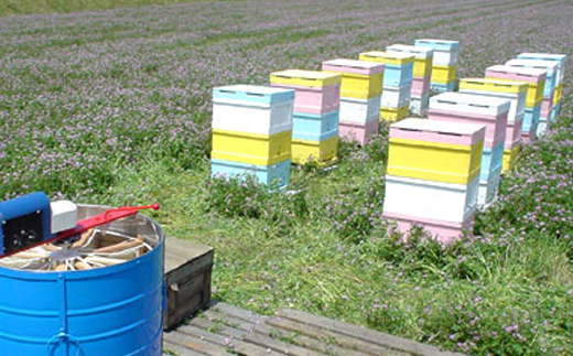 国産はちみつ600g2本セット