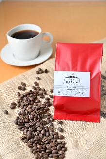 【6ヶ月定期便】カフェ・フランドル厳選　コーヒー豆　ニカラグア産(200g×1　100g×2)