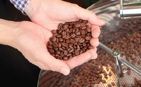 【自家焙煎】カフェ・フランドル フランドル・ブレンド（200g・豆）