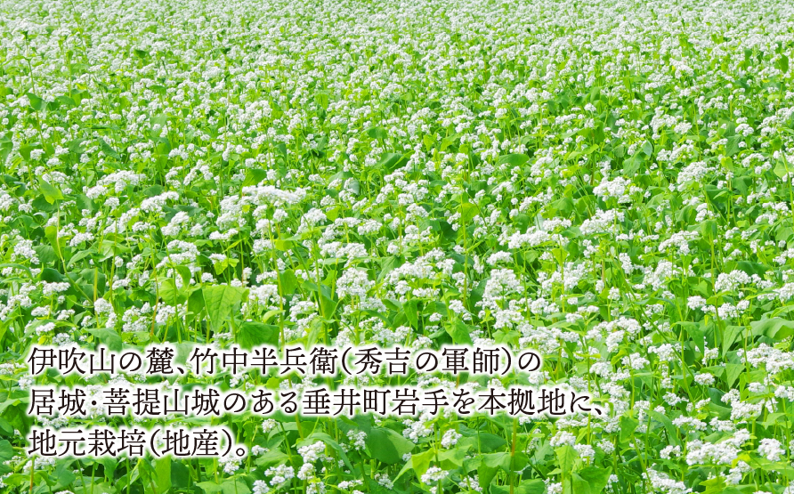 水車の石臼で挽いたそば粉 約1.5kg（500g×3袋）｜そば そば粉 岐阜県 垂井町 水車挽き 石臼挽き そば打ち ガレット 地産 おうち時間 趣味