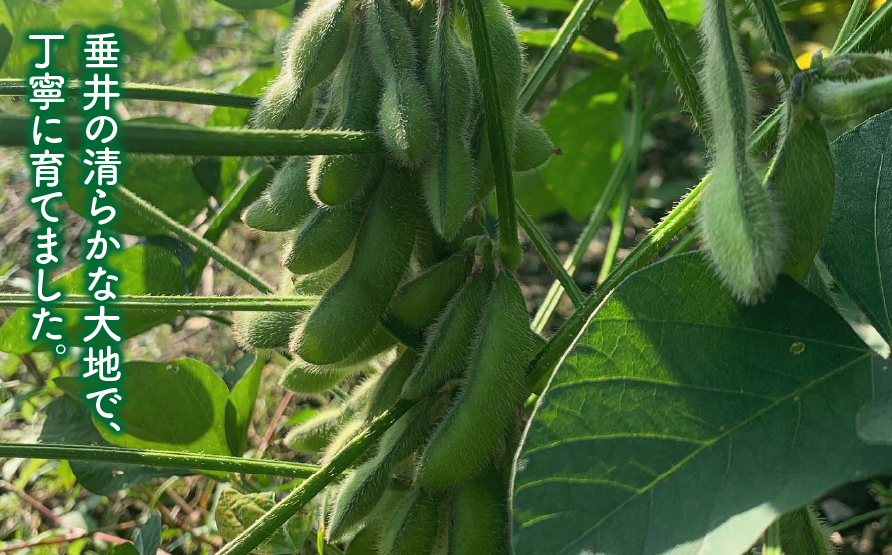 大豆（フクユタカ） 3kg（500ｇ×6袋）