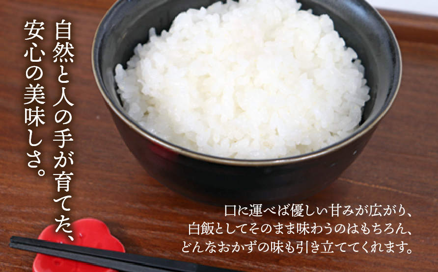 【数量限定】《令和7年産》岐阜県産 コシヒカリ（玄米） 5kg | 垂井町産 米 冷めても美味しい米 ブランド米 高品質 安心 安全 リピーター多数 贈答用 贈り物 ギフト プレゼント おしゃれ 人気 T rice Store