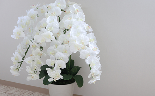 【造花】胡蝶蘭 7本立