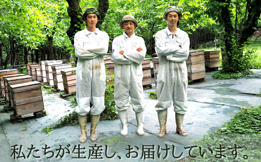 国産はちみつ600g
