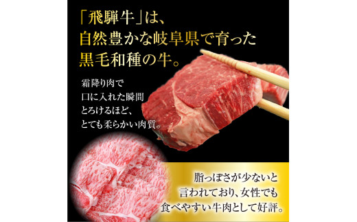 A5等級 飛騨牛 焼肉用 500ｇ ロース又は肩ロース肉 500g（500g×1パック）