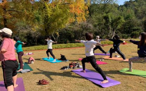 ヨガ・フィットネス・バランスボール等体験券（3回分）