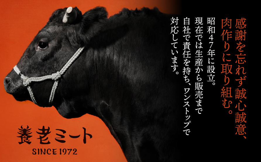 【飛騨牛】モモもしくはカタ 1ｋｇ(すき焼き・しゃぶしゃぶ用)